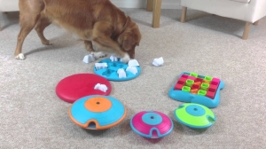 Dog Toys Puzzles Dog Toys Puzzles