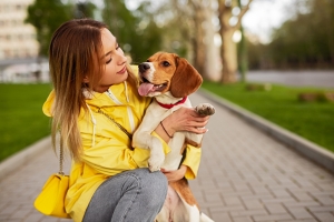 Tips for Keeping Your Canine Healthy Tips for Keeping Your Canine Healthy